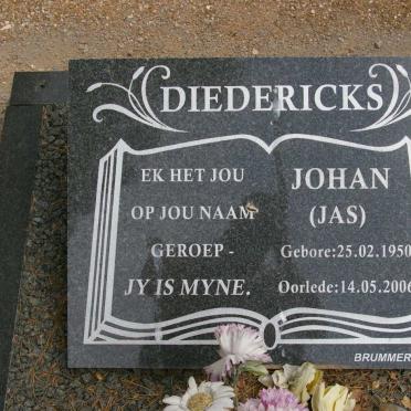 DIEDERICKS Johan 1950-2006