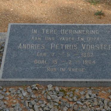 VORSTER Andries Petrus 1882-1964