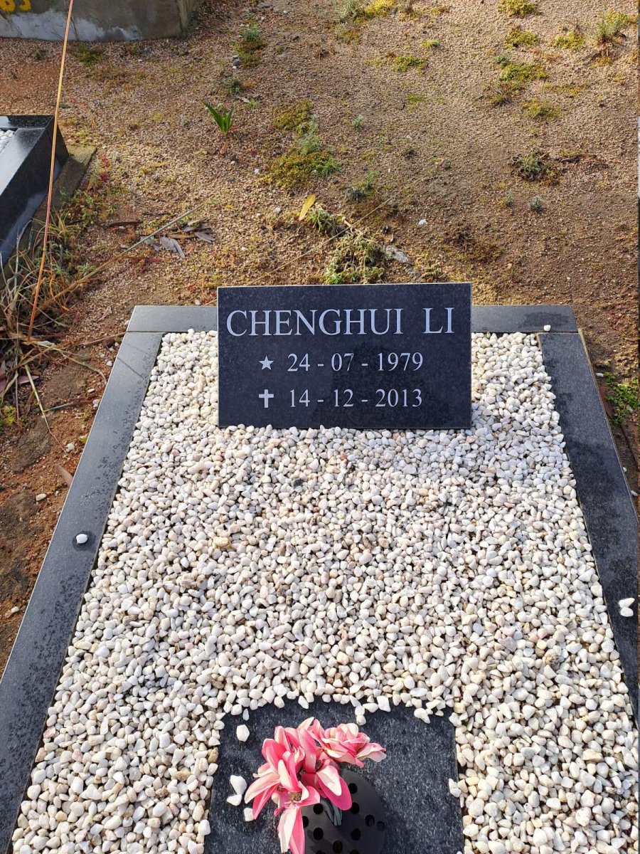 LI Chenghui 1979-2013