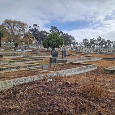 3. Overview / Oorsig