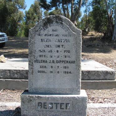 BESTER Anna Jacoba nee SMIT 1872-1961 :: DIPPENAAR Helena J.B. 1911-1964