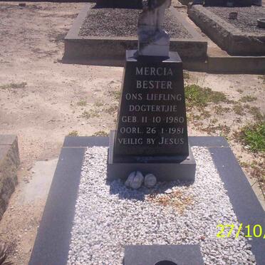 BESTER Mercia 1980-1981