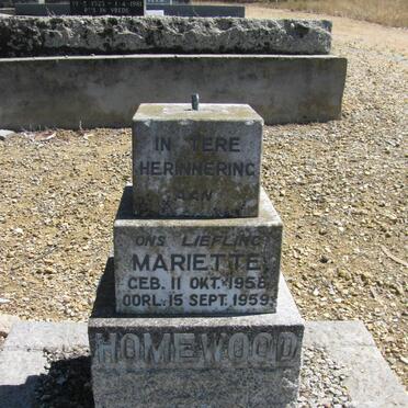 HOMEWOOD :: BLANCKENBERG