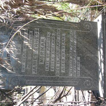 NORMAN James Ernest -1919 &amp; Ada JACKLIN -1927