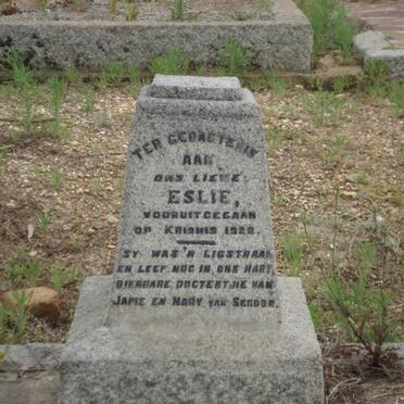 SCHOOR Elsie, van -1928