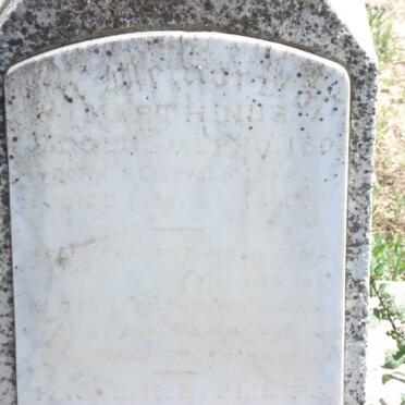 SMUTS Marthinus Jacobus Alphonso 1878-1880