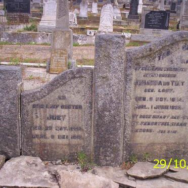 TOIT Pieter, du 1868-1944 &amp; Johanna LOUW 1864-1929 :: DU TOIT Joey 18??-1919
