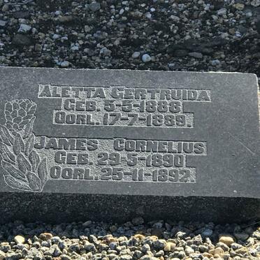 ? Unknown &amp; Illegible Graves