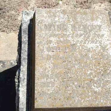 WALTERS John William Adrian 18?6-1926