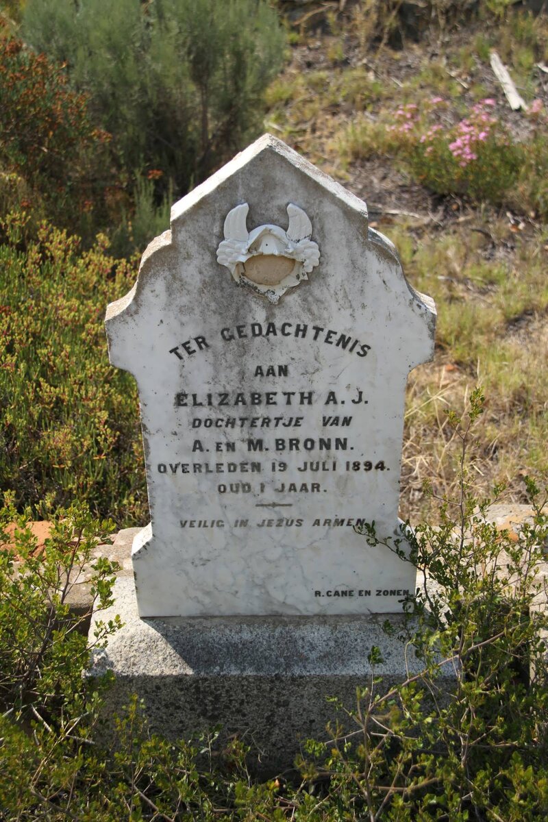 BRONN Elizabeth A.J. -1894