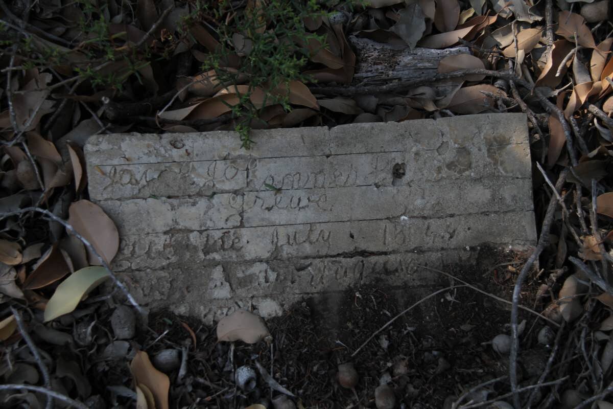 GREWE J. Johannes 1844-??