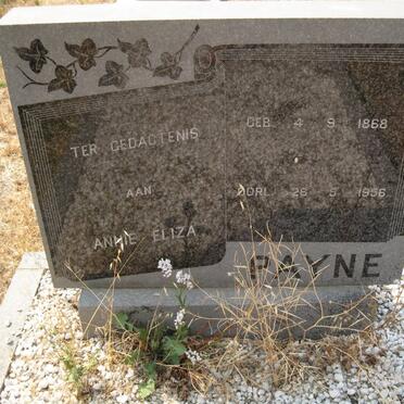 P - Vanne :: Surnames - P