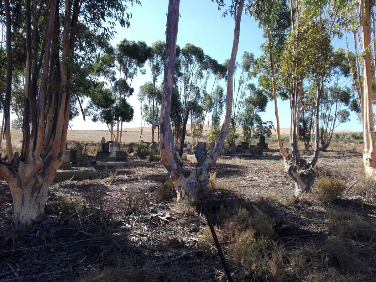 1. Overview / Oorsig