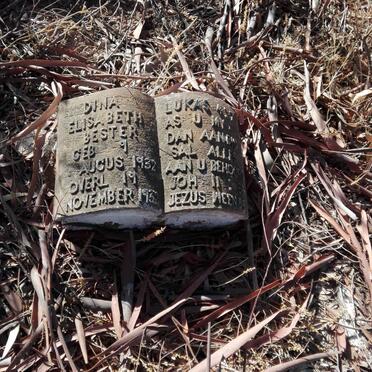 BESTER Dina Elisabeth 1932-1932