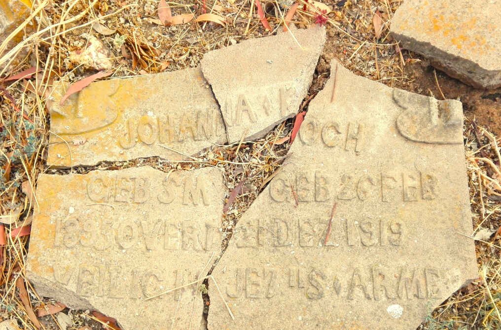 KOCH Johanna K. 1895-1919