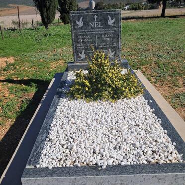 N - Vanne :: Surnames - N