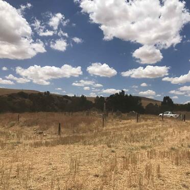 Western Cape, MOORREESBURG district, Nieuwedrift 156, farm cemetery