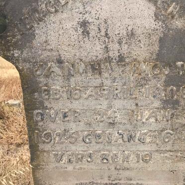 MOSTERT Jan H.F. 1908-1925