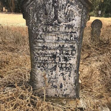 NIEKERK Catharina J., van 1889-1920