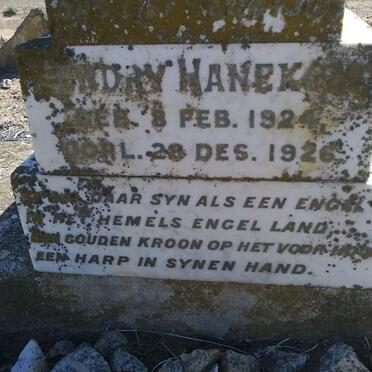 HANEKOM Hendry 1924-1926