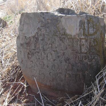Western Cape, MOORREESBURG district, Koringberg, Hooggelegen 329, Hooggelee farm cemetery_2