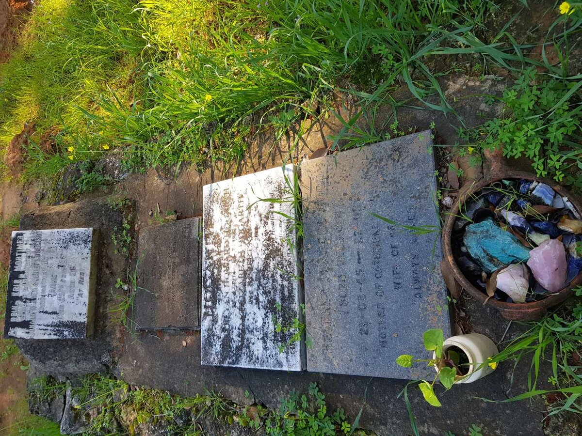 7. Overview of MORTIMER, HOGARTH, SPENCE &amp; GOOD family grave