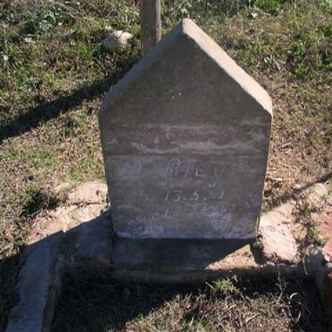 Western Cape, MOSSEL BAY district, Buffelsdrift 191, farm cemetery_1