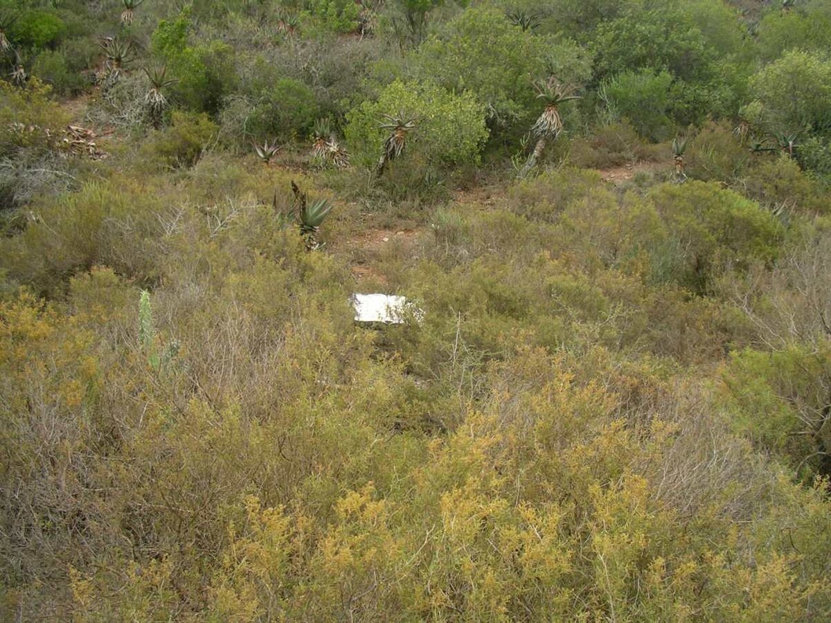 2. Overview of grave on the farm Claassen's Rust, Herbertsdale