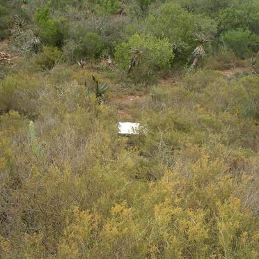 Western Cape, MOSSEL BAY district, Herbertsdale, Outeniquas Drift 197 farm, farm cemetery_4