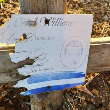 WILLIAMS ? Err?l -2017