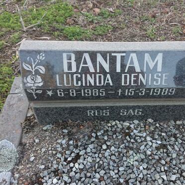 BANTAM Lucinda Denise 1985-1989