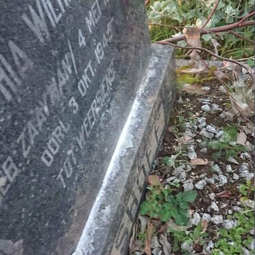 BOSHOFF ?ia Wilhelmina nee ZAAYMAN 1916-1945