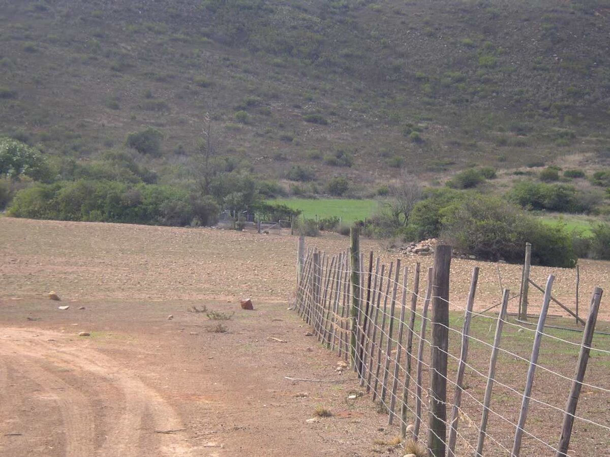 2. The road to the cemetery