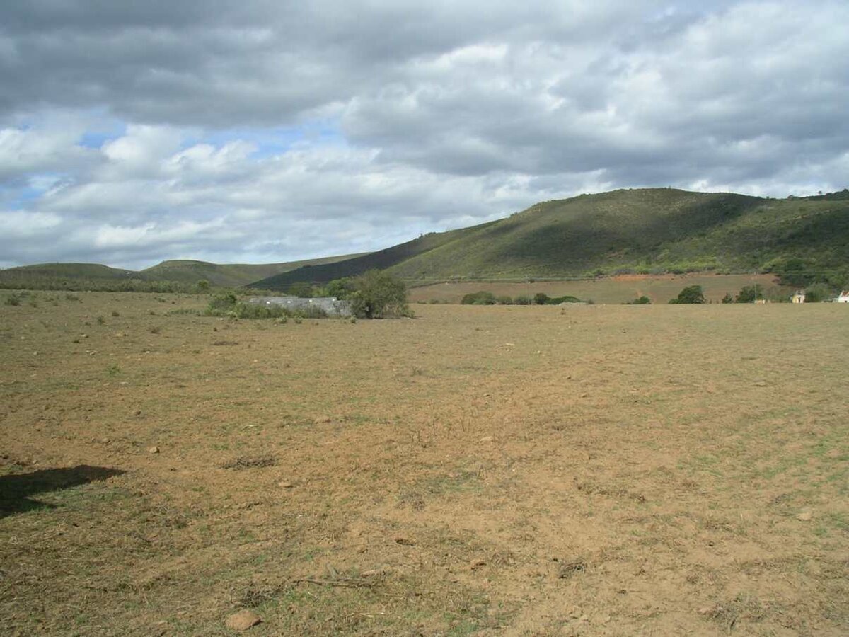 1. Overview on the cemetery at Langtouw, Herbertsdale district