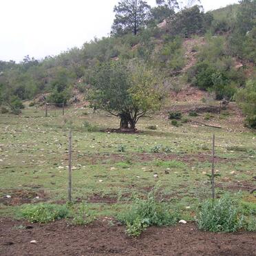 2. Overview on the cemetery