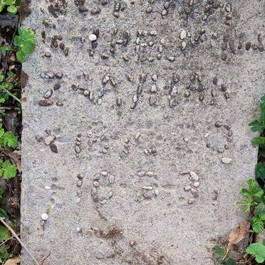 ZAAYMAN Sophia Wilhelmina 1930-1931