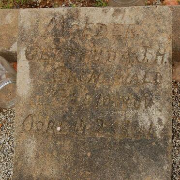 GROENEWALD Gertrude J.H. -1941