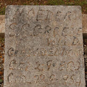 GROENWALD S.G. nee BADENHORST 1883-1954