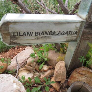 ? Lilani Bianca Agatha 