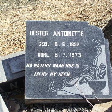 ?LAN? Hester Antoinette 1892-1973 :: ?LAN? Salomina Johanna 1896-1969