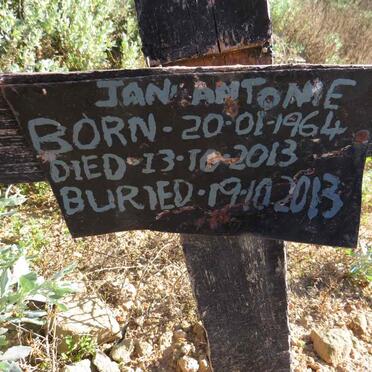 ANTONIE Jan 1964-2013