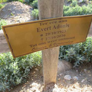 ADONIS Evert 1923-2020