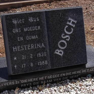 BOSCH Hesterina 1930-1988