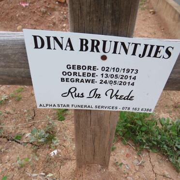 BRUINTJIES Dina 1973-2014