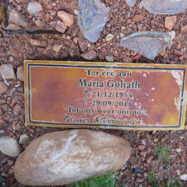 Go - Surnames starting with the letters Go