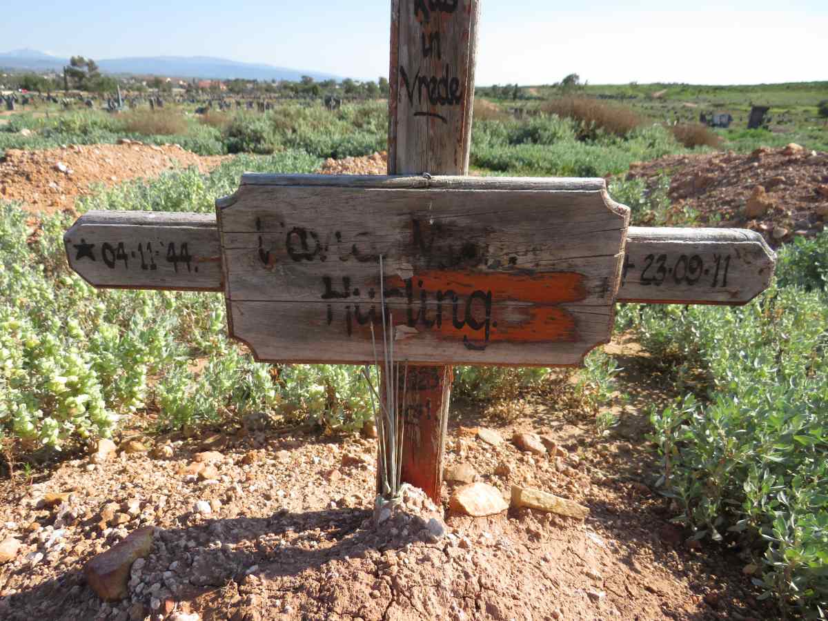 HURLING David ? 1944-2011