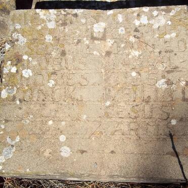 JONCK Jacobus Andries 1955-1961