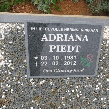 PIEDT Adriana 1981-2012