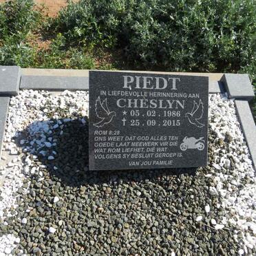 PIEDT Cheslyn 1986-2015
