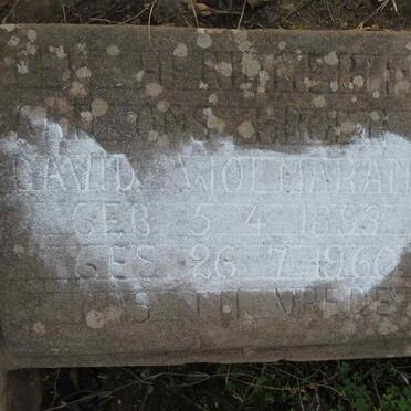 WOLMARANS David 1893-1960